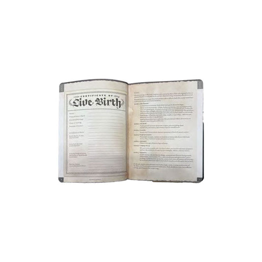 Notizbuch A5 Player's Journal Image 2