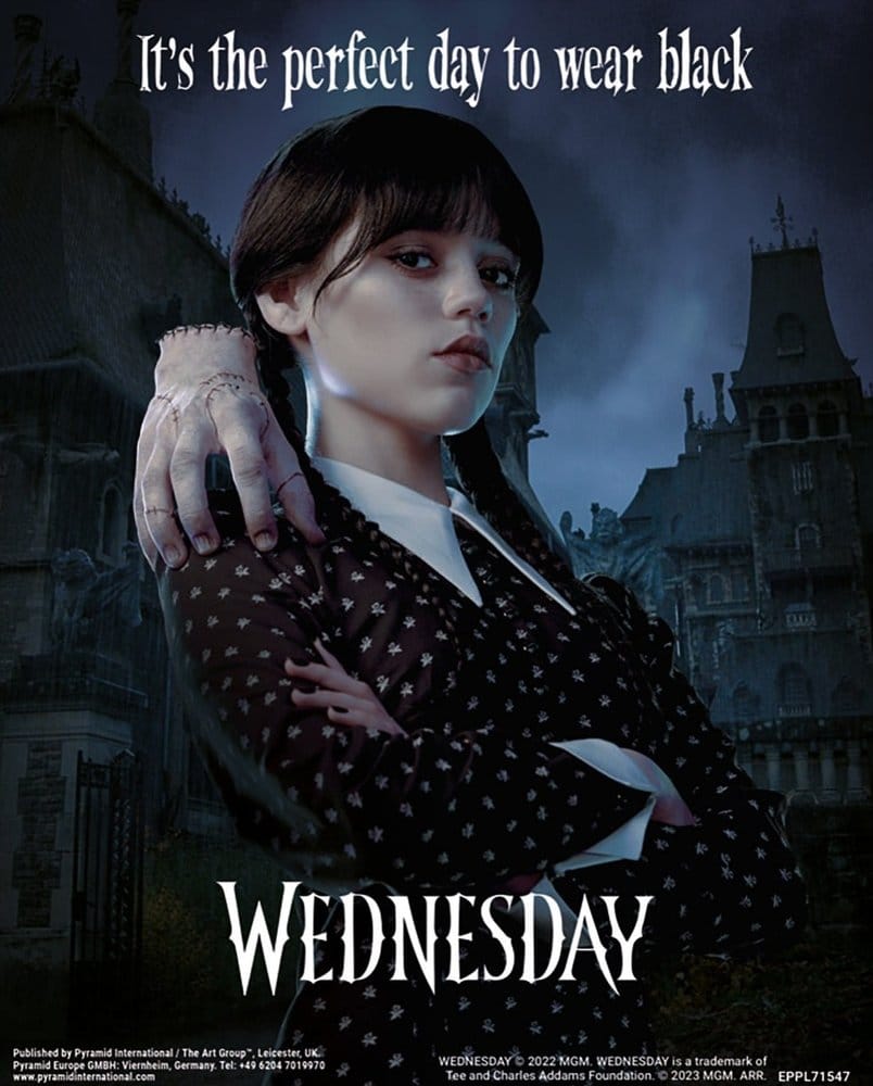 Wednesday 3D-Effekt Poster Perfect Day 26 x 20 cm Image