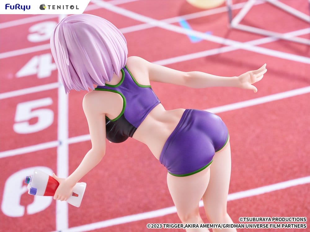 Gridman Universe Tenitol Tall PVC Figur Akane Shinjo Sportswear Ver. 28 cm Image 17