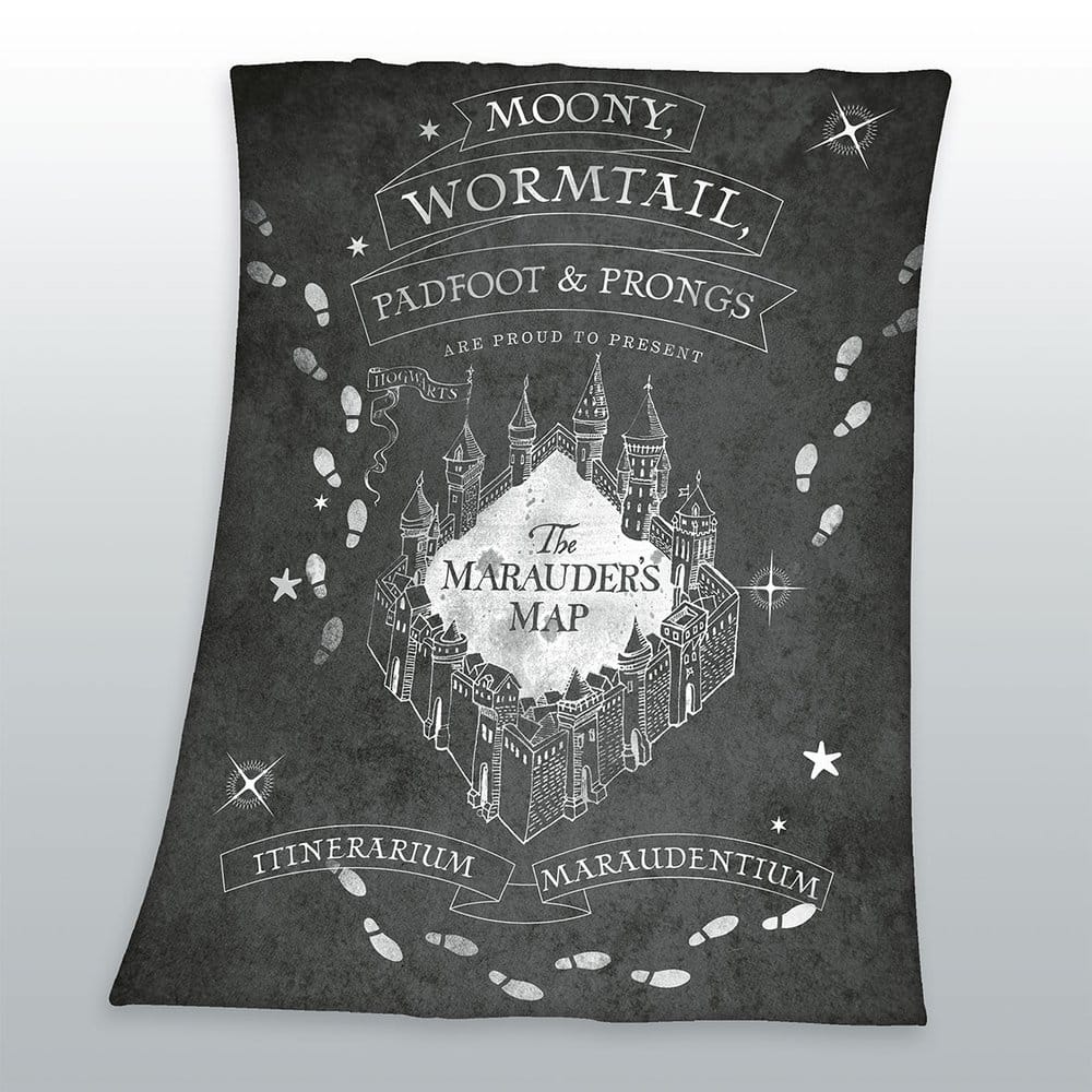 Harry Potter Fleecedecke 12 x 28 cm Image