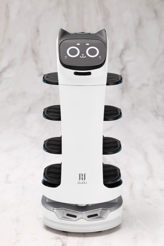 Pudu Robotics Grande Scale Plastic Model Kit BellaBot 19 cm Image 2
