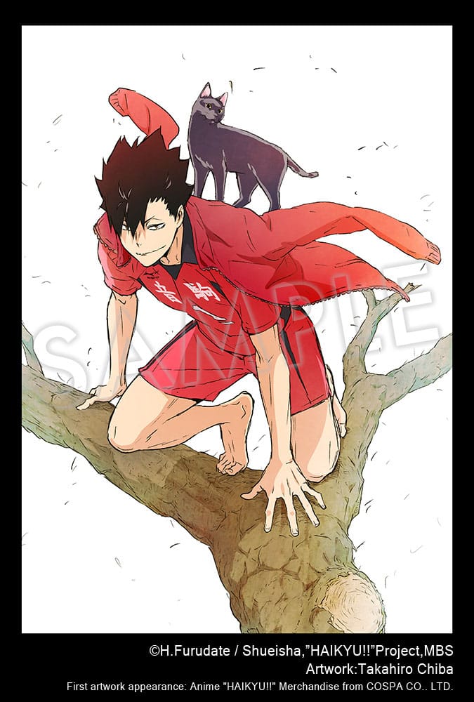 Haikyu!! ARTFXJ Statue 1/8 Tetsuro Kuroo 24 cm Image 11