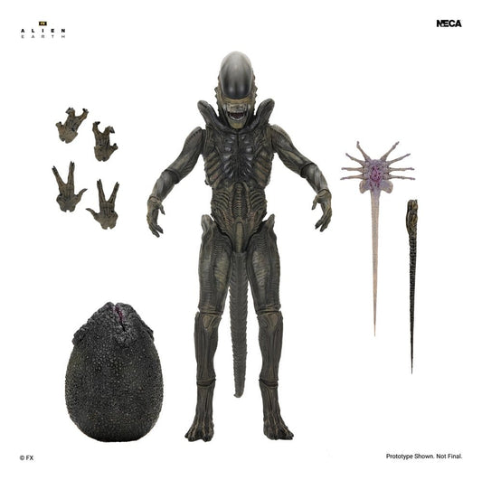 Alien: Earth Ultimate Actionfigur Xenomorph 18 cm Image 2