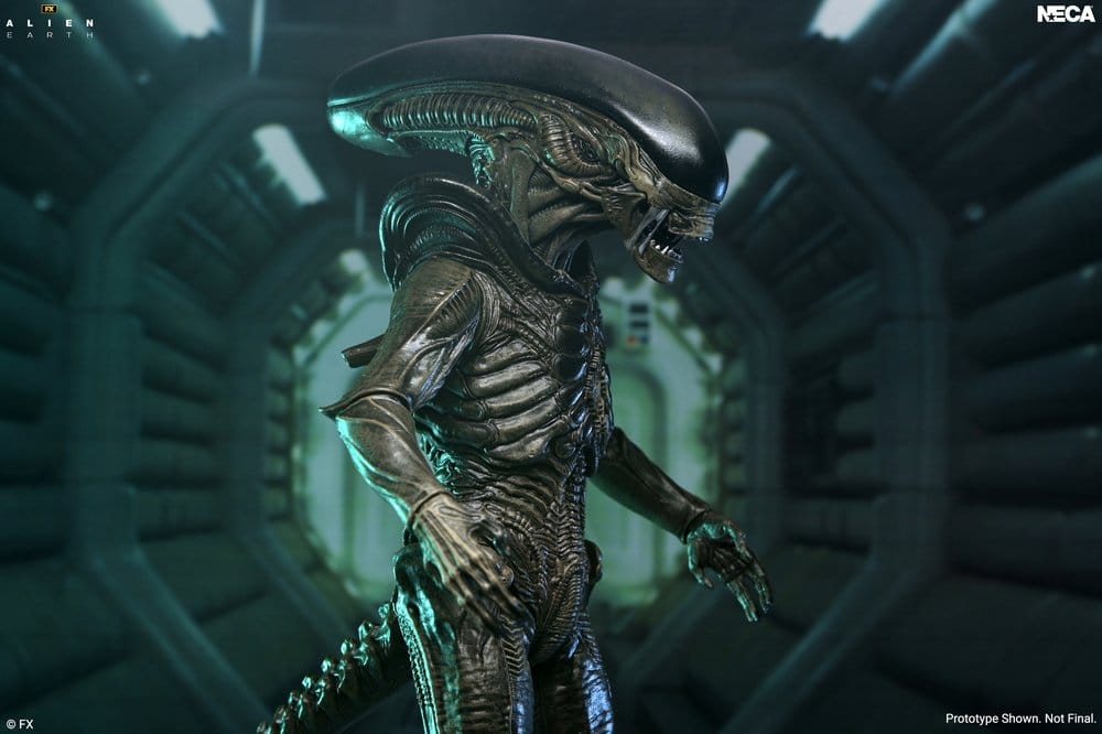 Alien: Earth Ultimate Actionfigur Xenomorph 18 cm Image 4
