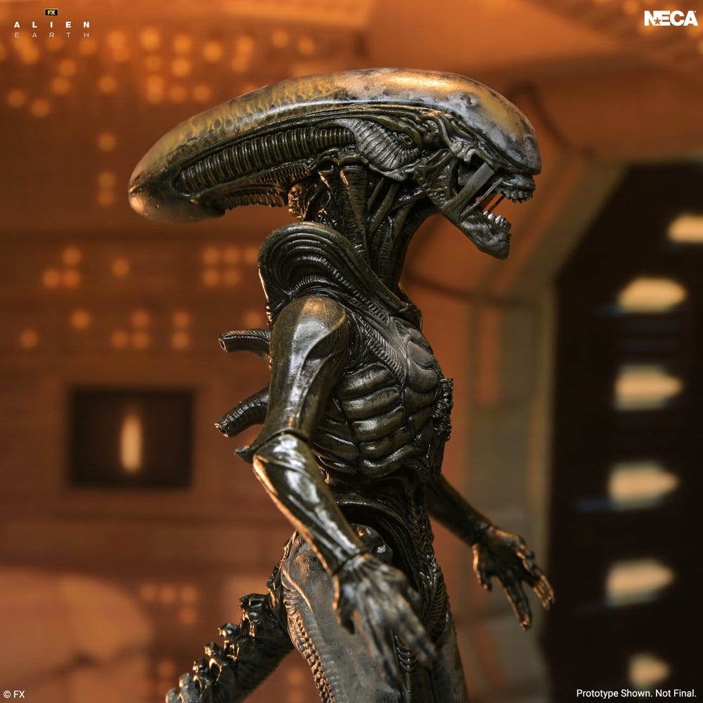 Alien: Earth Ultimate Actionfigur Wendy's Xenomorph 18 cm Image 4