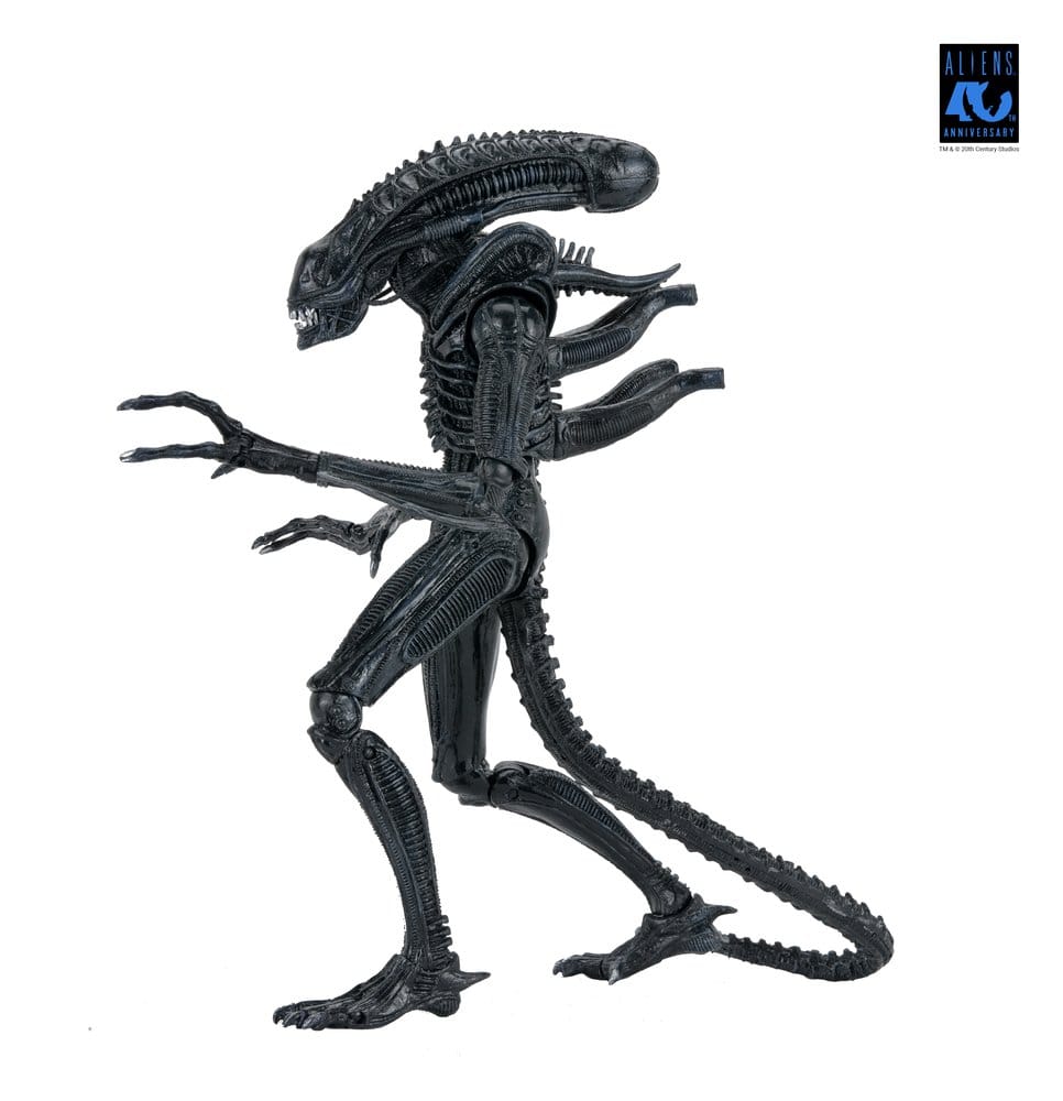 Aliens Ultimate Actionfigur Warrior (1986) Xenomorph Black (40th Anniversary) 23 cm Image 20
