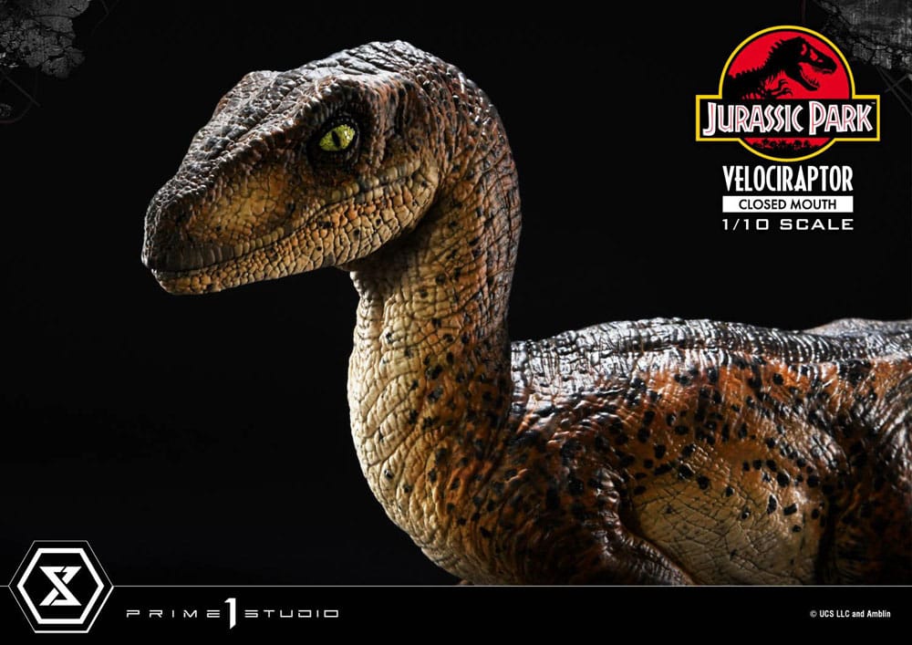 Jurassic Park Prime Collectibles Statue 1/10 Velociraptor Closed Mouth 19 cm Image 8