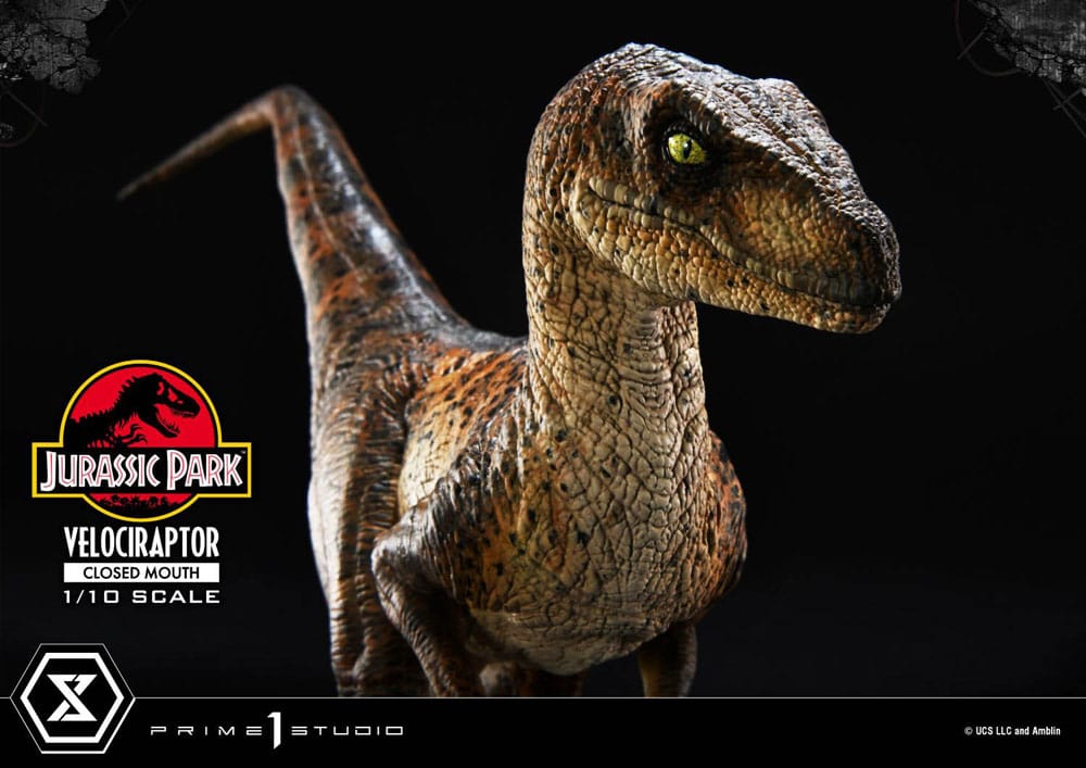 Jurassic Park Prime Collectibles Statue 1/10 Velociraptor Closed Mouth 19 cm Image 19
