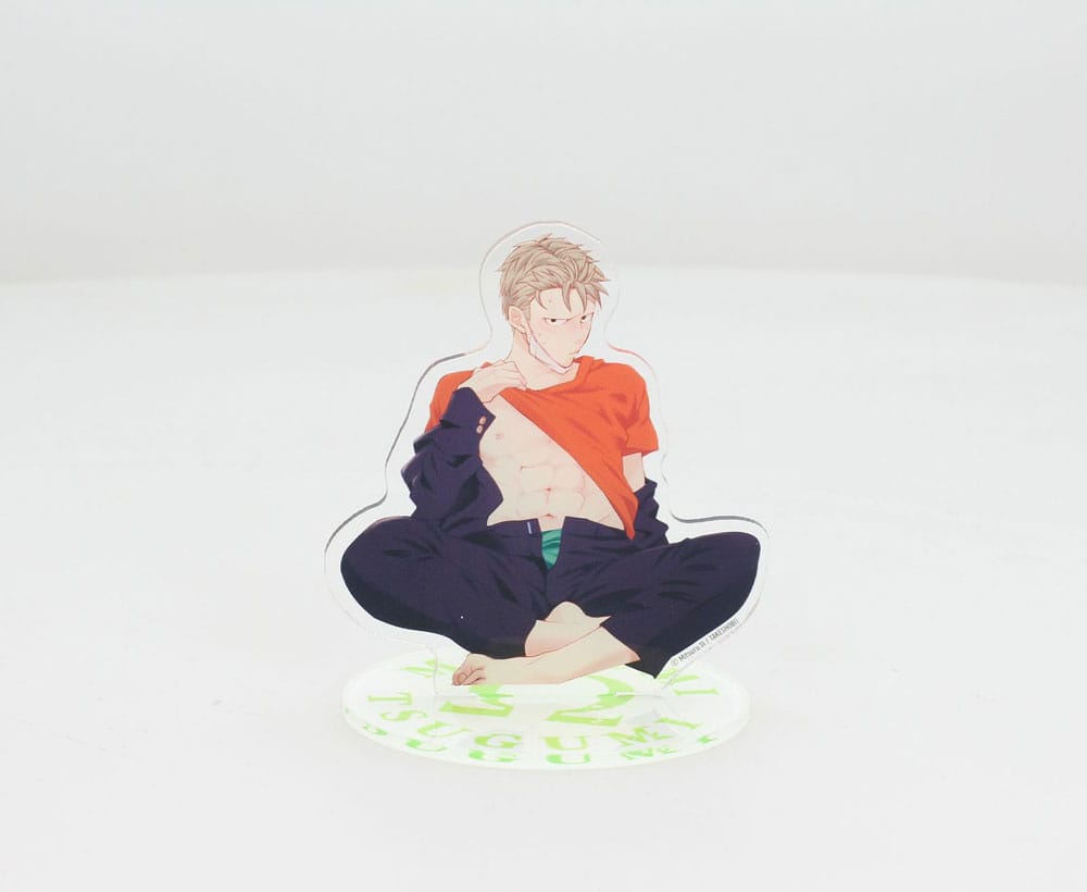 Megumi & Tsugumi Acryl Figur Megumi 21 cm Image