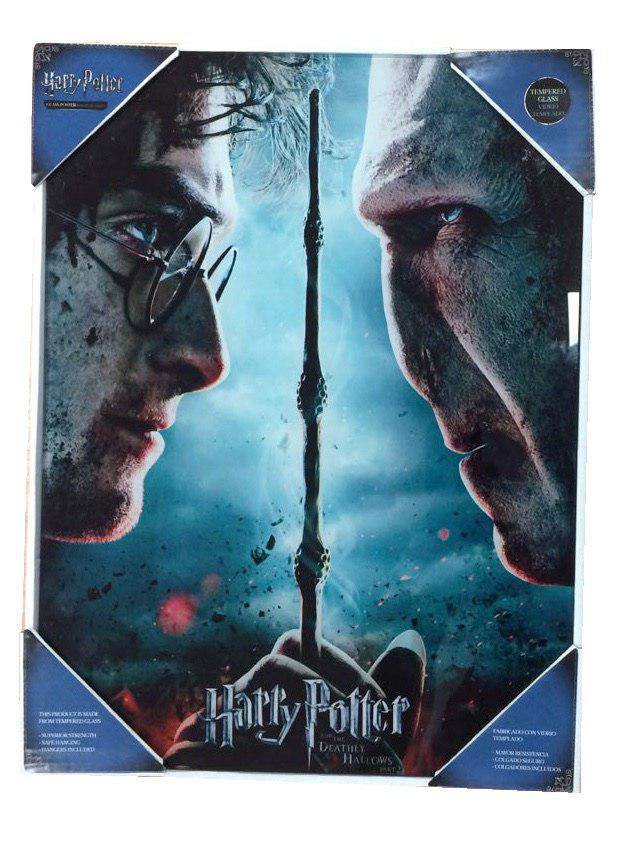 Harry Potter Glasposter Harry & Voldemort 30 x 40 cm Image
