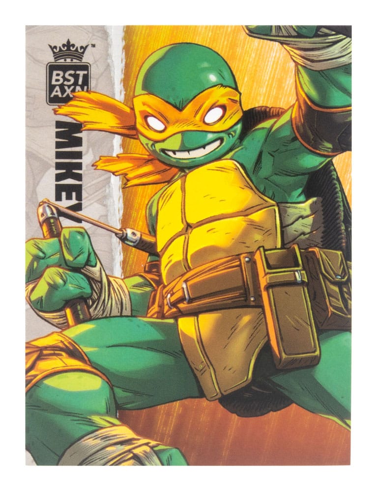 Teenage Mutant Ninja Turtles BST AXN Actionfigur Michelangelo (IDW Comics) 13 cm Image 3