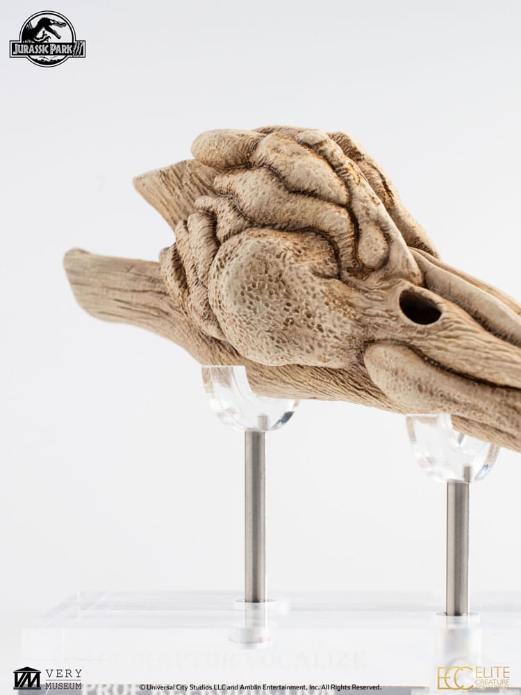 Jurassic Park III Prop Replik 1/1 Velociraptor Resonance Chamber 18 cm Image 14