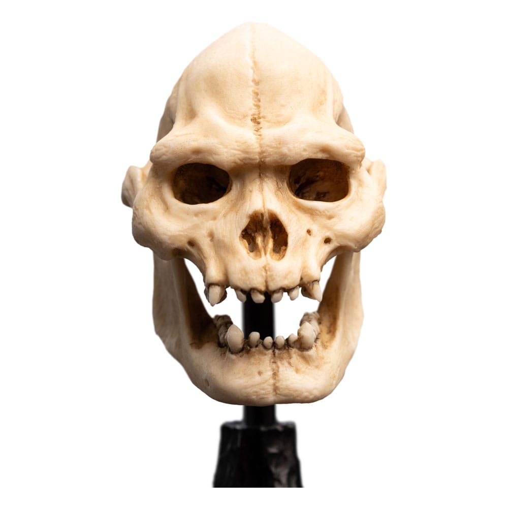 Herr der Ringe Mini Statue Skull of Lurtz 14 cm Image 12