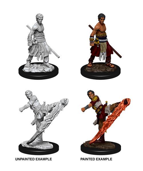 D&D Nolzur's Marvelous Miniatures Miniaturen unbemalt Male Half-Elf Monk Umkarton (6) Image