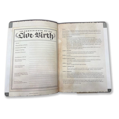 Notizbuch A5 Player's Journal Sage Green Shield Image 3
