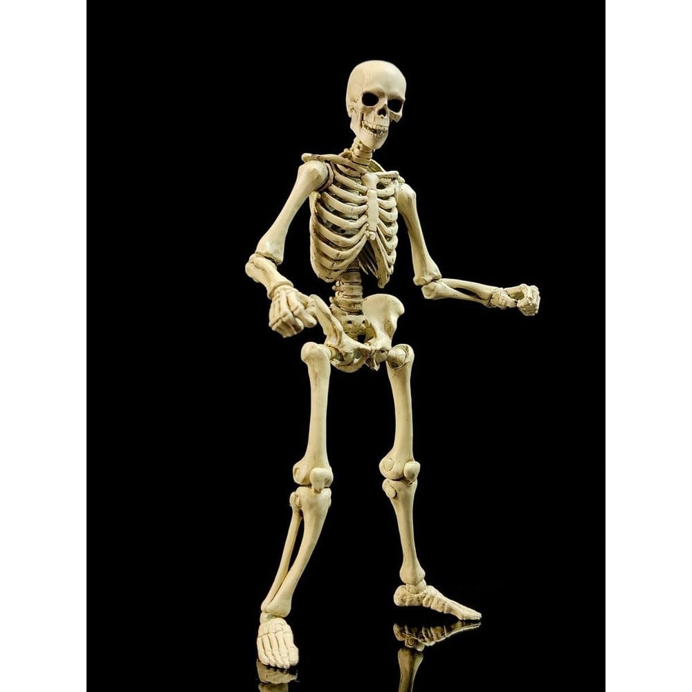Epic H.A.C.K.S. Actionfigur 1/12 Skeleton Blank Classic Bone Image 1