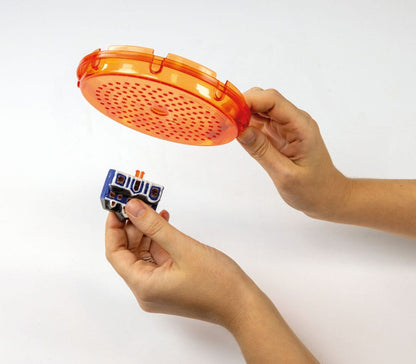 Stranger Things The Upside Down Terrarium Image 4