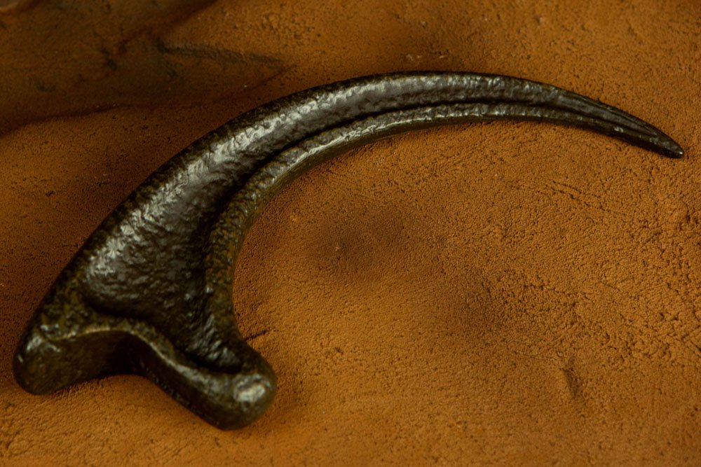 Jurassic Park Replik 1/1 Velociraptor Kralle Image 8