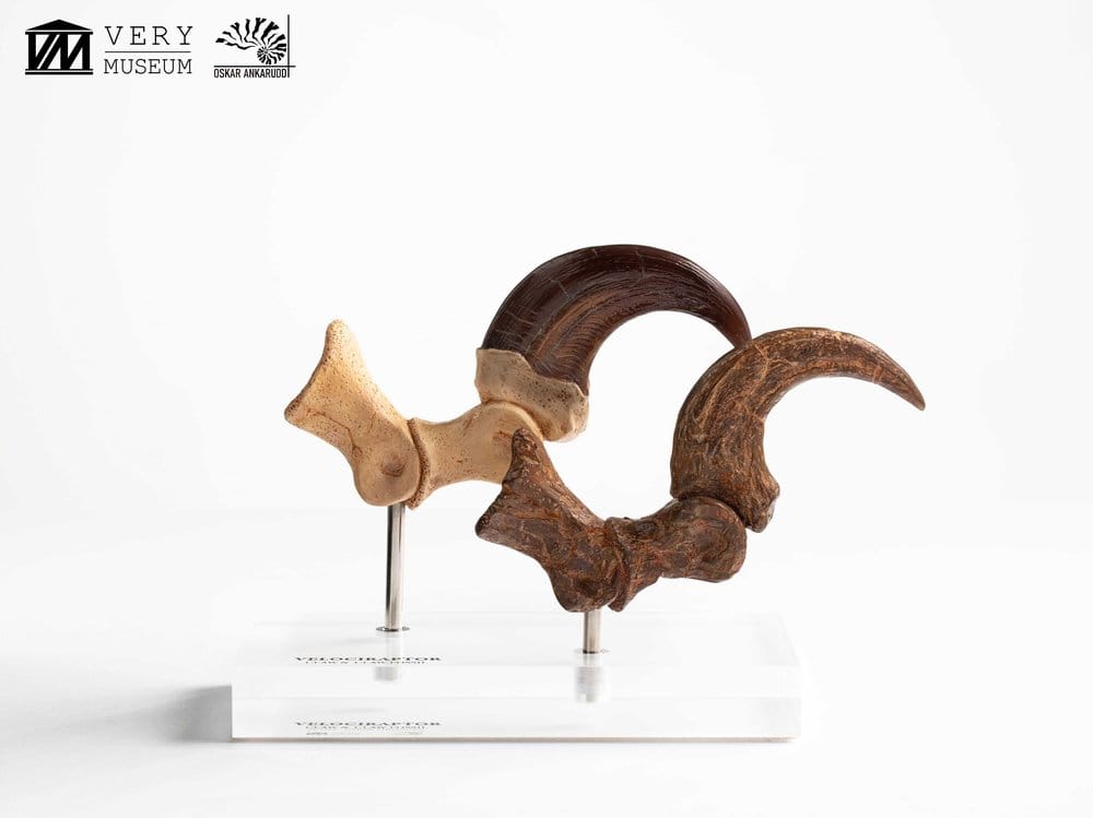Jurassic Park ECC Elite Creature Line Statue Velociraptor Foot Claw and Fossil Claw Set 20 cm Image 3