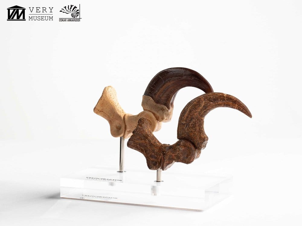 Jurassic Park ECC Elite Creature Line Statue Velociraptor Foot Claw and Fossil Claw Set 20 cm Image 4