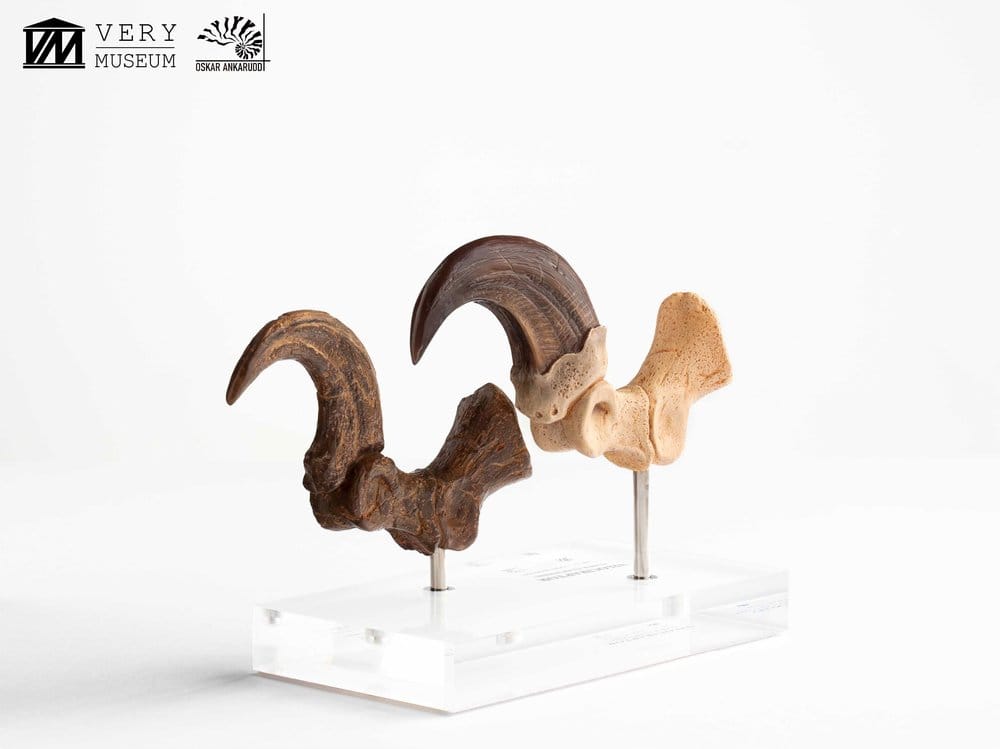 Jurassic Park ECC Elite Creature Line Statue Velociraptor Foot Claw and Fossil Claw Set 20 cm Image 8