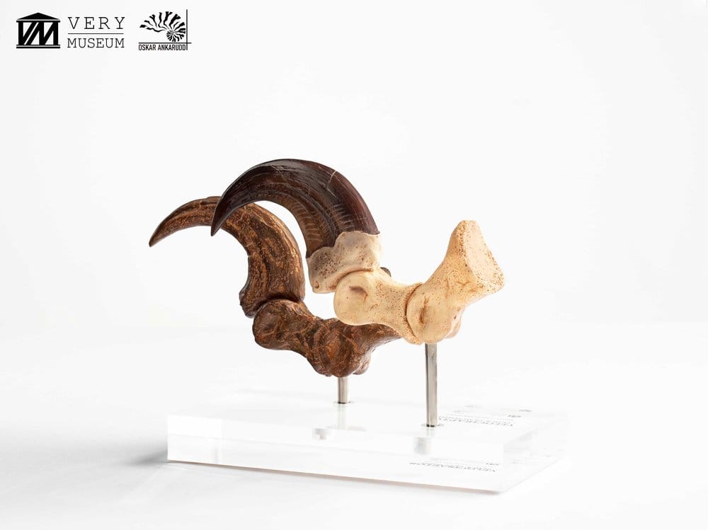 Jurassic Park ECC Elite Creature Line Statue Velociraptor Foot Claw and Fossil Claw Set 20 cm Image 10