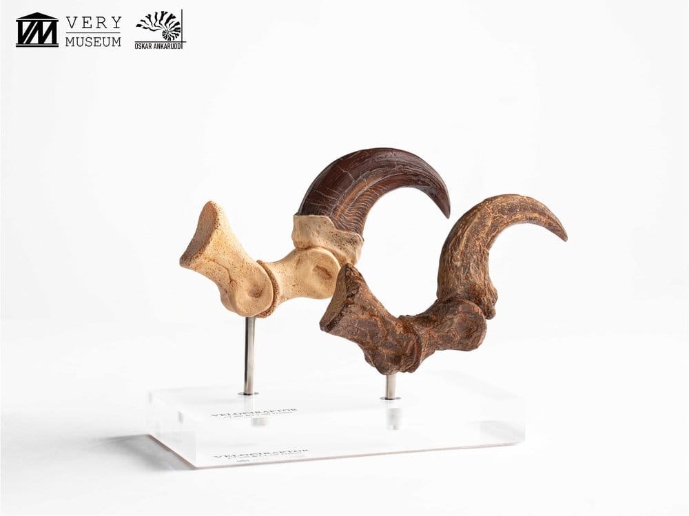 Jurassic Park ECC Elite Creature Line Statue Velociraptor Foot Claw and Fossil Claw Set 20 cm Image 12