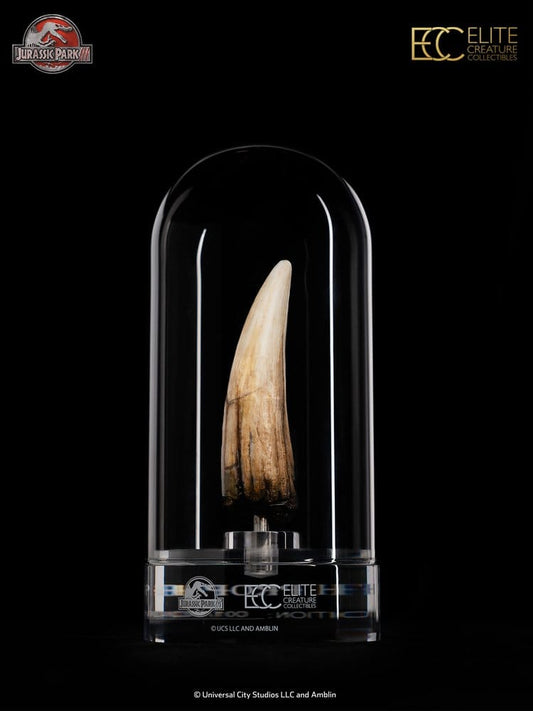 Jurassic Park III Prop Replik 1/1 Spinosaurus Zahn 14 cm Image 2