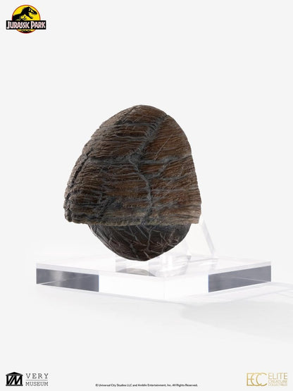 Jurassic Park 1/1 Replik Triceratops Toenail 16 cm Image 3