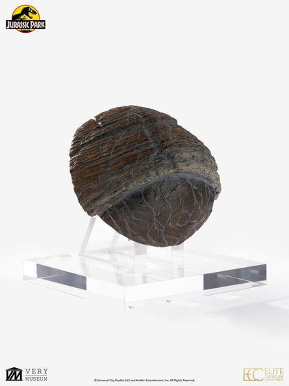 Jurassic Park 1/1 Replik Triceratops Toenail 16 cm Image 5