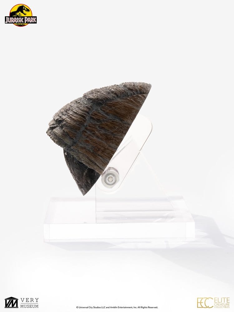 Jurassic Park 1/1 Replik Triceratops Toenail 16 cm Image 10