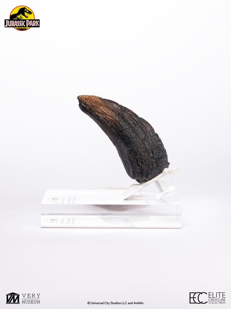 Jurassic Park 1/1 Replik Velociraptor Toenail Type A 11 cm Image 1