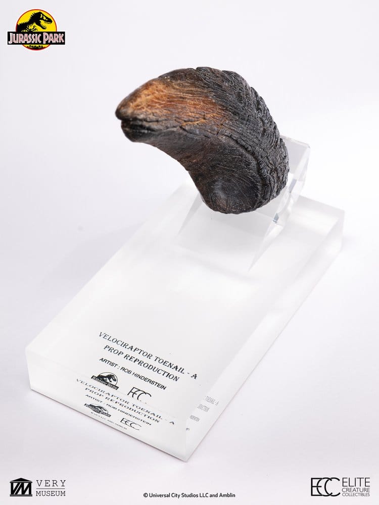Jurassic Park 1/1 Replik Velociraptor Toenail Type A 11 cm Image 3