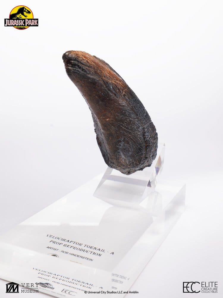 Jurassic Park 1/1 Replik Velociraptor Toenail Type A 11 cm Image 4