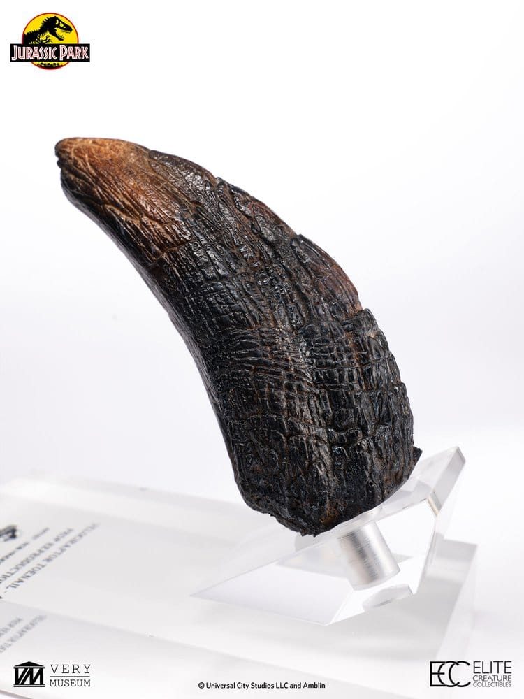 Jurassic Park 1/1 Replik Velociraptor Toenail Type A 11 cm Image 5