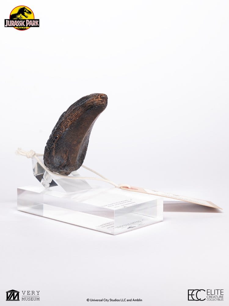 Jurassic Park 1/1 Replik Velociraptor Toenail Type A 11 cm Image 7