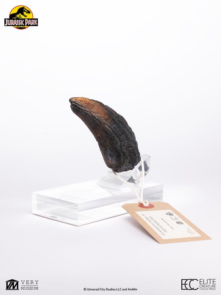 Jurassic Park 1/1 Replik Velociraptor Toenail Type A 11 cm Image 8