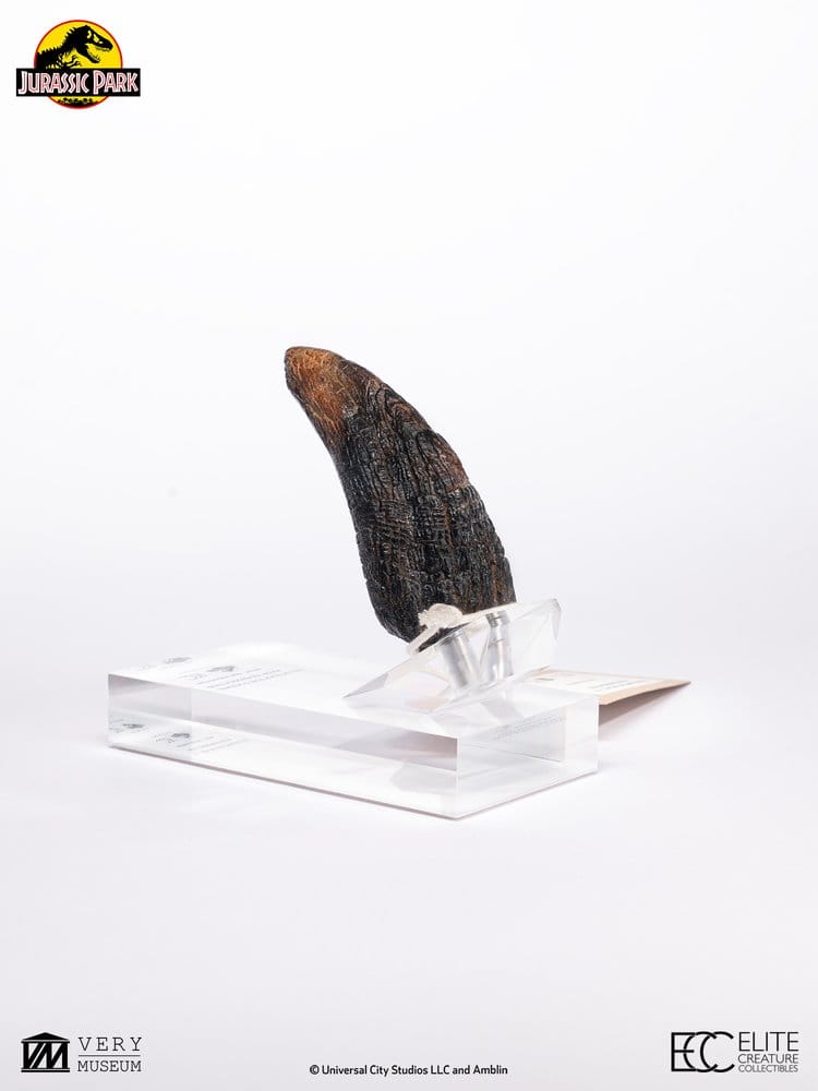 Jurassic Park 1/1 Replik Velociraptor Toenail Type A 11 cm Image 9
