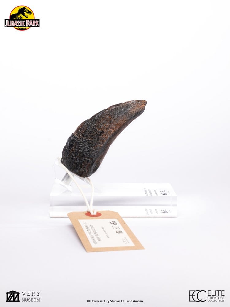 Jurassic Park 1/1 Replik Velociraptor Toenail Type A 11 cm Image 10