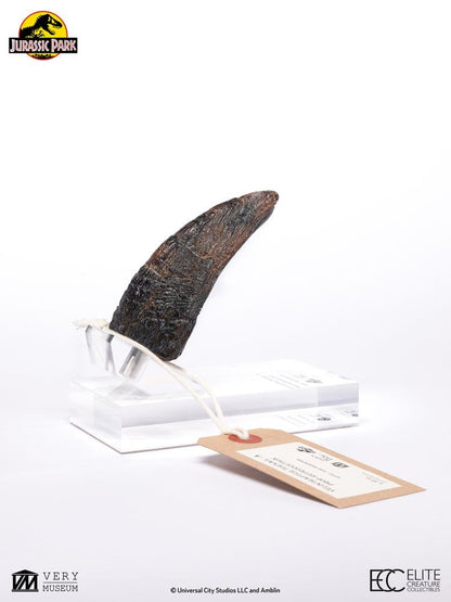Jurassic Park 1/1 Replik Velociraptor Toenail Type A 11 cm Image 11