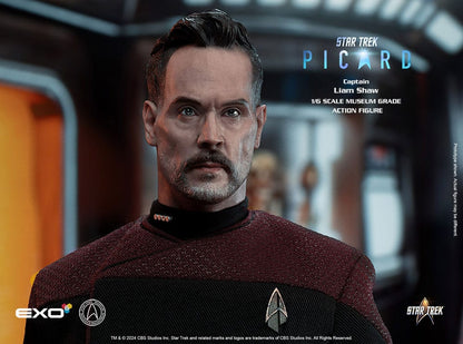 Star Trek: Picard Actionfigur 1/6 Captain Liam Shaw 30 cm Image 3