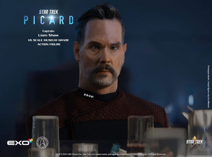 Star Trek: Picard Actionfigur 1/6 Captain Liam Shaw 30 cm Image 6
