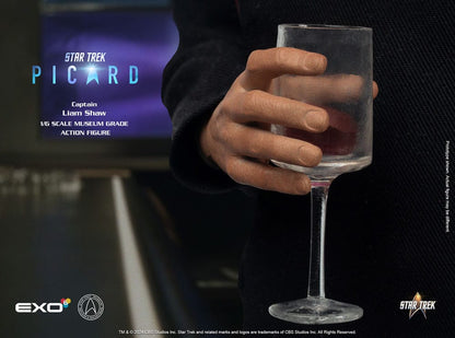 Star Trek: Picard Actionfigur 1/6 Captain Liam Shaw 30 cm Image 10