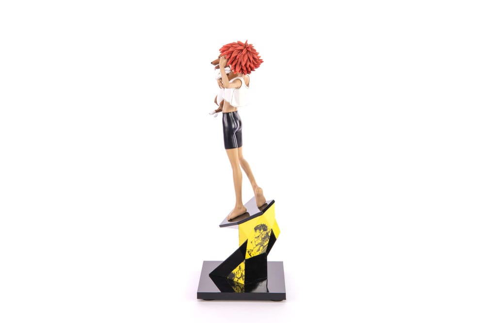 Cowboy Bebop Statue 1/8 Ed & Ein 28 cm Image 5