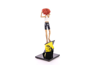 Cowboy Bebop Statue 1/8 Ed & Ein 28 cm Image 6