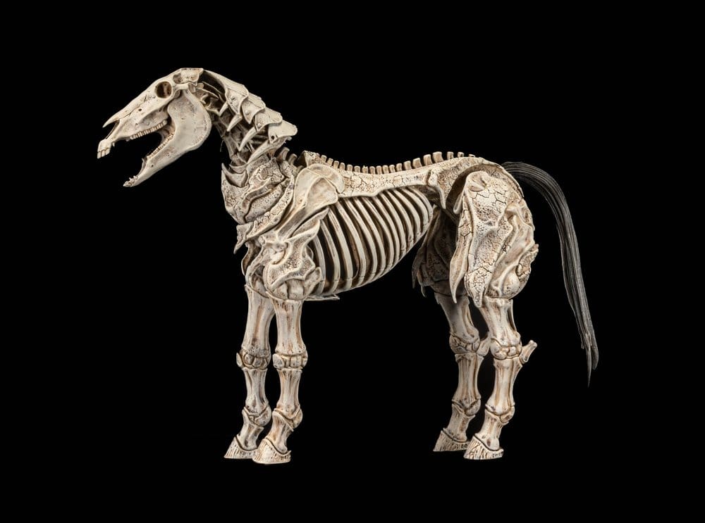 Mythic Legions: Reinforcement 3 Actionfigur Skeleton Steed Legion Builder Image 2