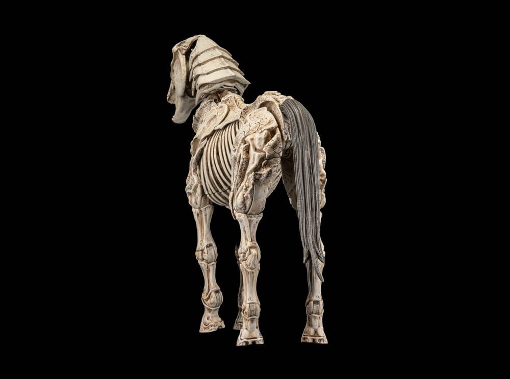 Mythic Legions: Reinforcement 3 Actionfigur Skeleton Steed Legion Builder Image 3