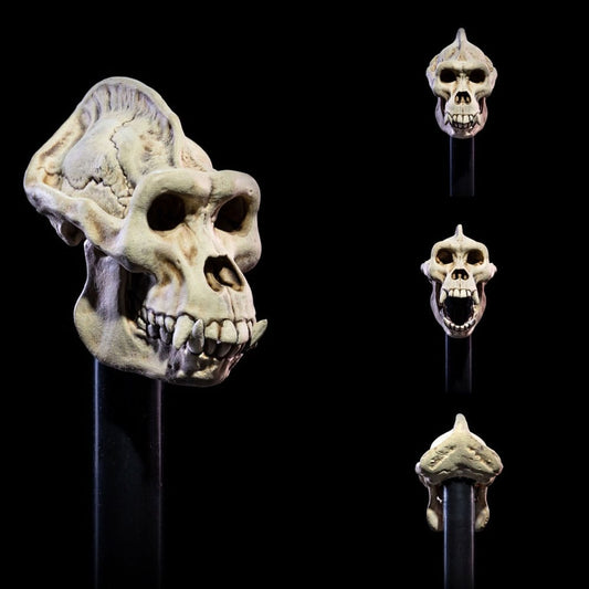 Mythic Legions: All Stars 6 Zubehör-Set für Actionfiguren Undead Heads Pack Image 2