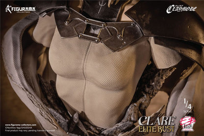 Claymore Elite Büste 1/4 Claire 23 cm Image 15
