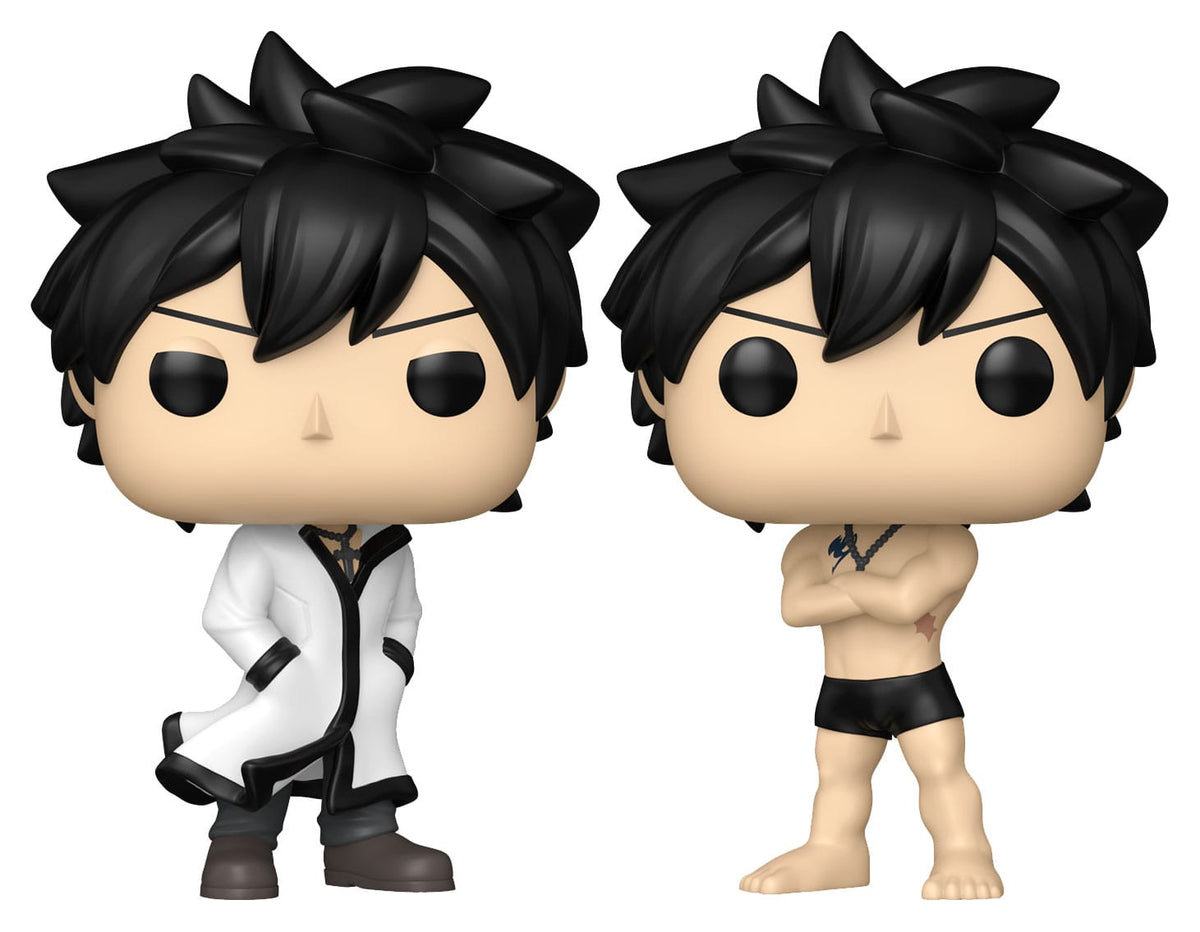 Fairy Tail 100 Year Quest POP! Animation Vinyl Figuren Gray w/Chase 9 cm Sortiment (6) Image 1